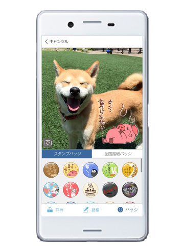 カメラ画面イメージ